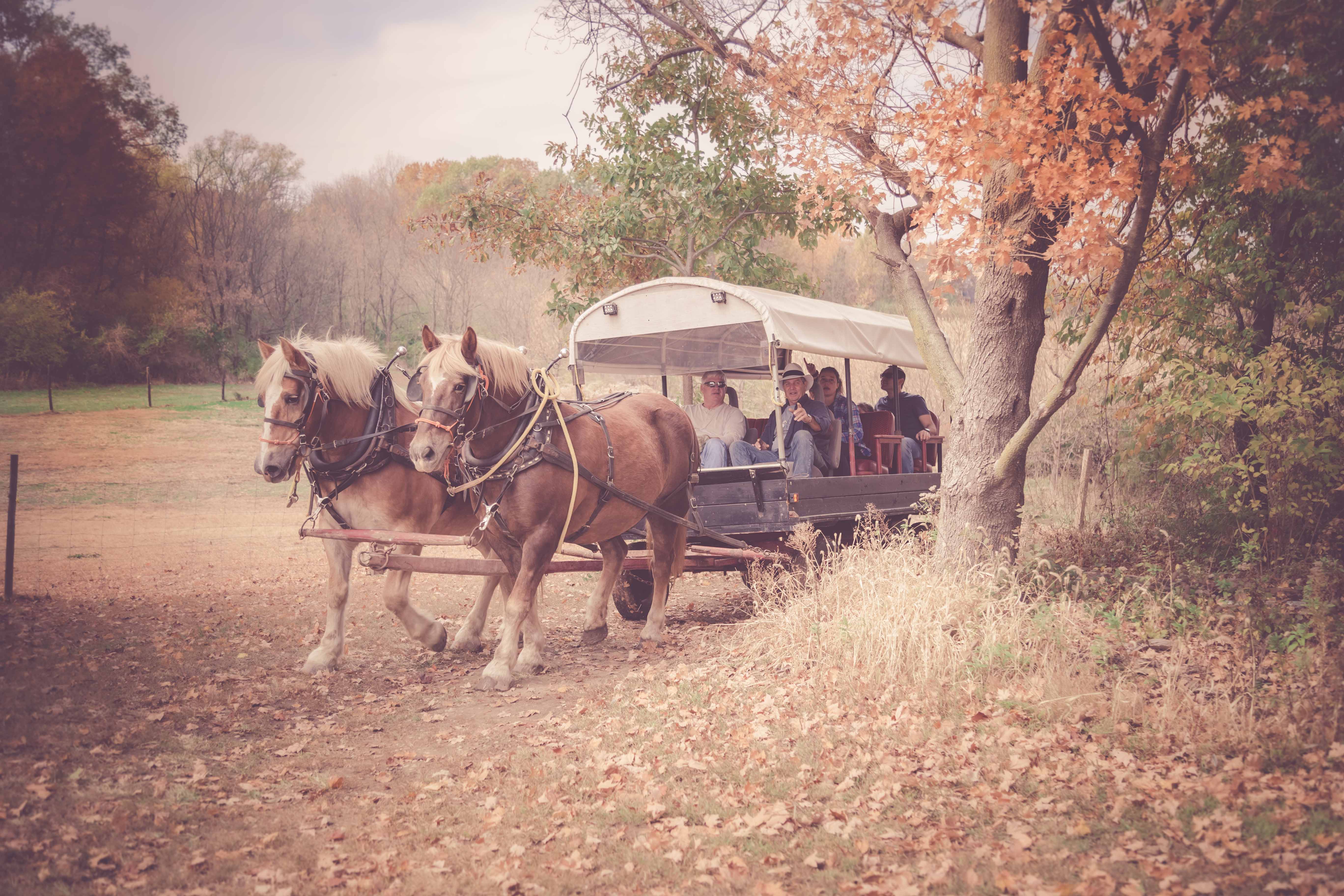 Restoration Ranch